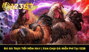 Đá Gà Trực Tiếp Hôm Nay | Xem Chọi Gà Miễn Phí Tại 123B