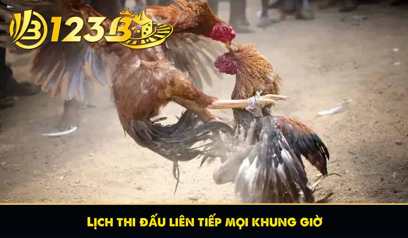 Lịch thi đấu liên tiếp mọi khung giờ