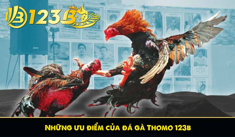 Những ưu điểm của đá gà Thomo 123b