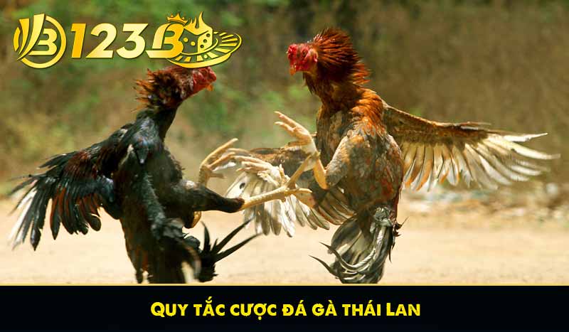 Quy tắc cược đá gà thái Lan