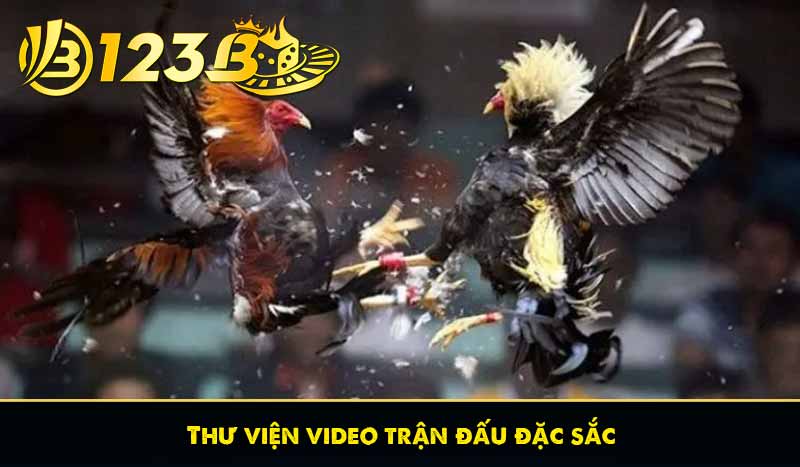 Thư viện video trận đấu đặc sắc