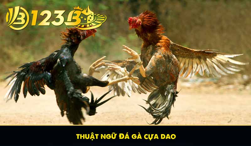 thuật ngữ Đá gà cựa dao