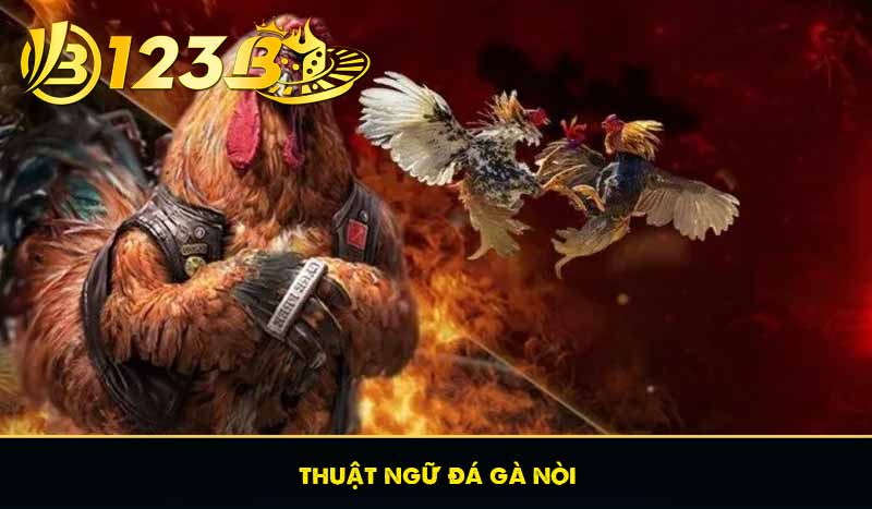 thuật ngữ đá gà nòi