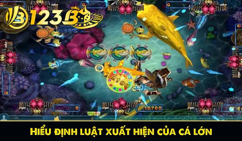 Hiểu định luật xuất hiện của cá lớn